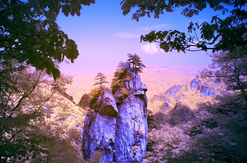 鲁山县旅游:探索中原大地的自然与人文魅力
